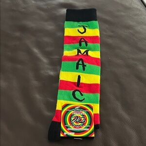 Desire Collection Jamaica Striped Socks - Bold Multicolor